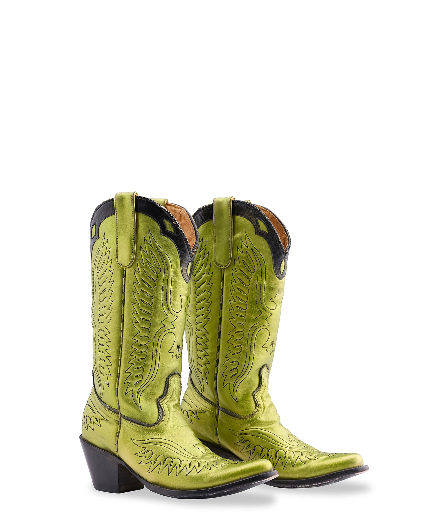 EAGLE SPONGE COLLAR - WOMEN'S