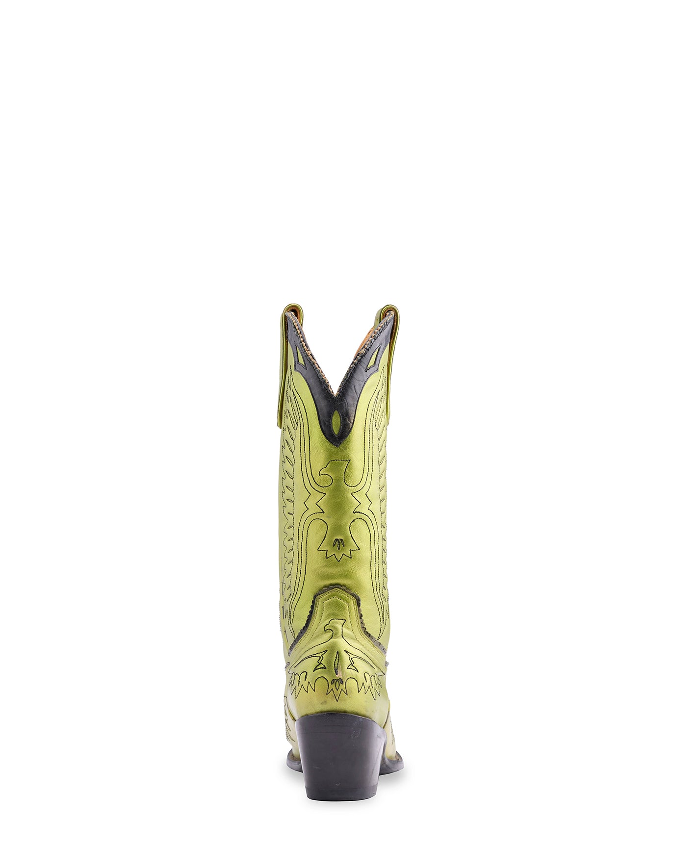 EAGLE SPONGE COLLAR - Green