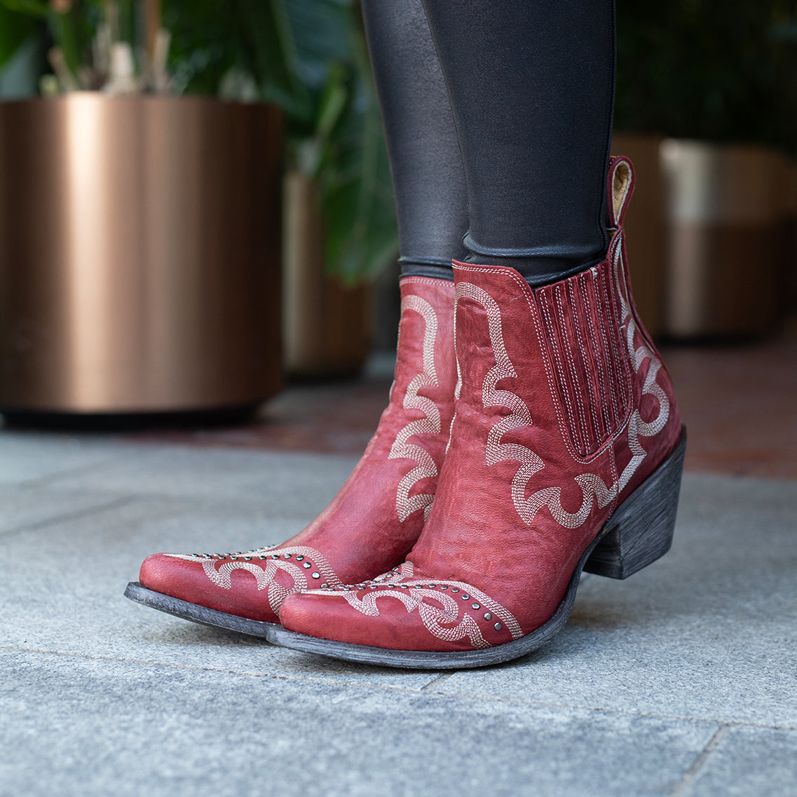 Shay Botin 8"
