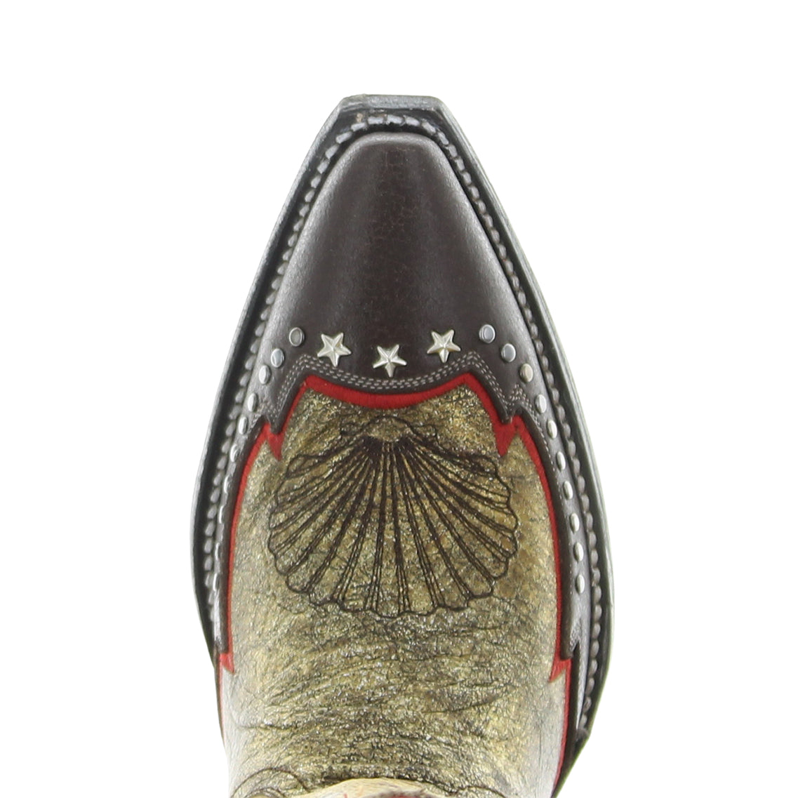 CORALINE - WOMEN'S