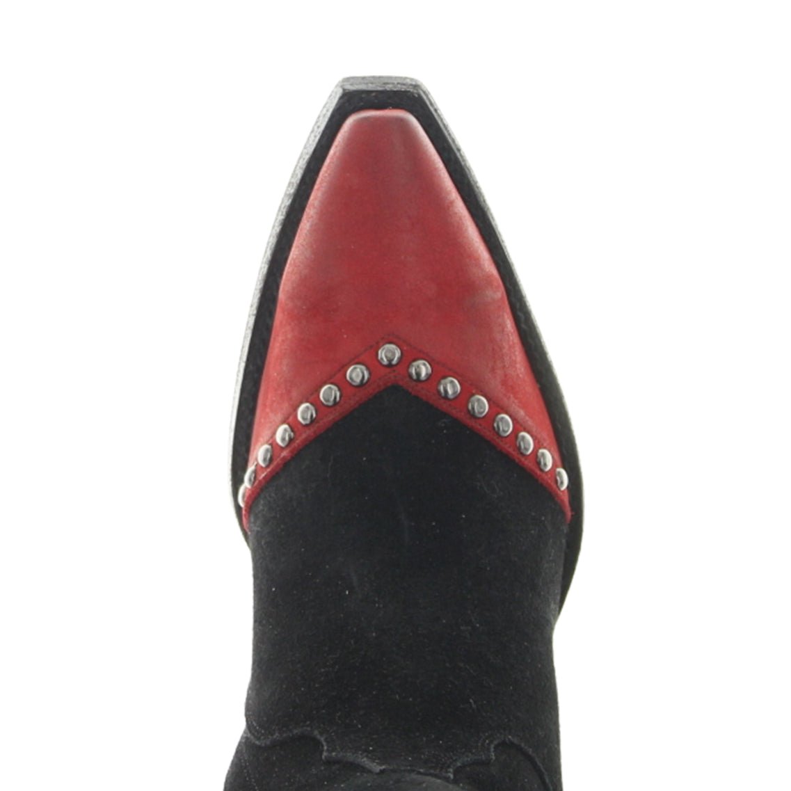 CASSIOPEIA TALL - WOMEN'S
