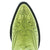 EAGLE SPONGE COLLAR - WOMEN'S