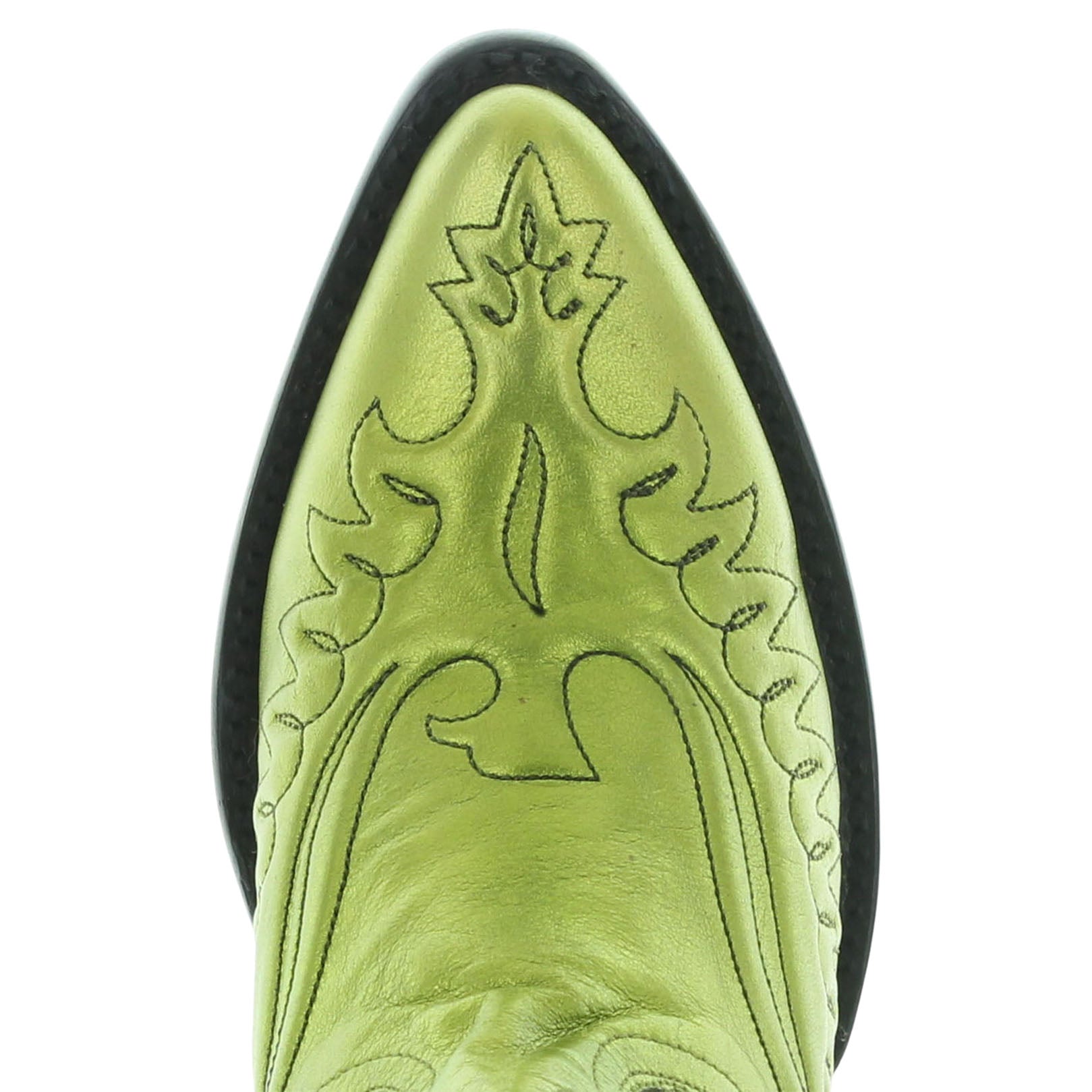 EAGLE SPONGE COLLAR - WOMEN'S