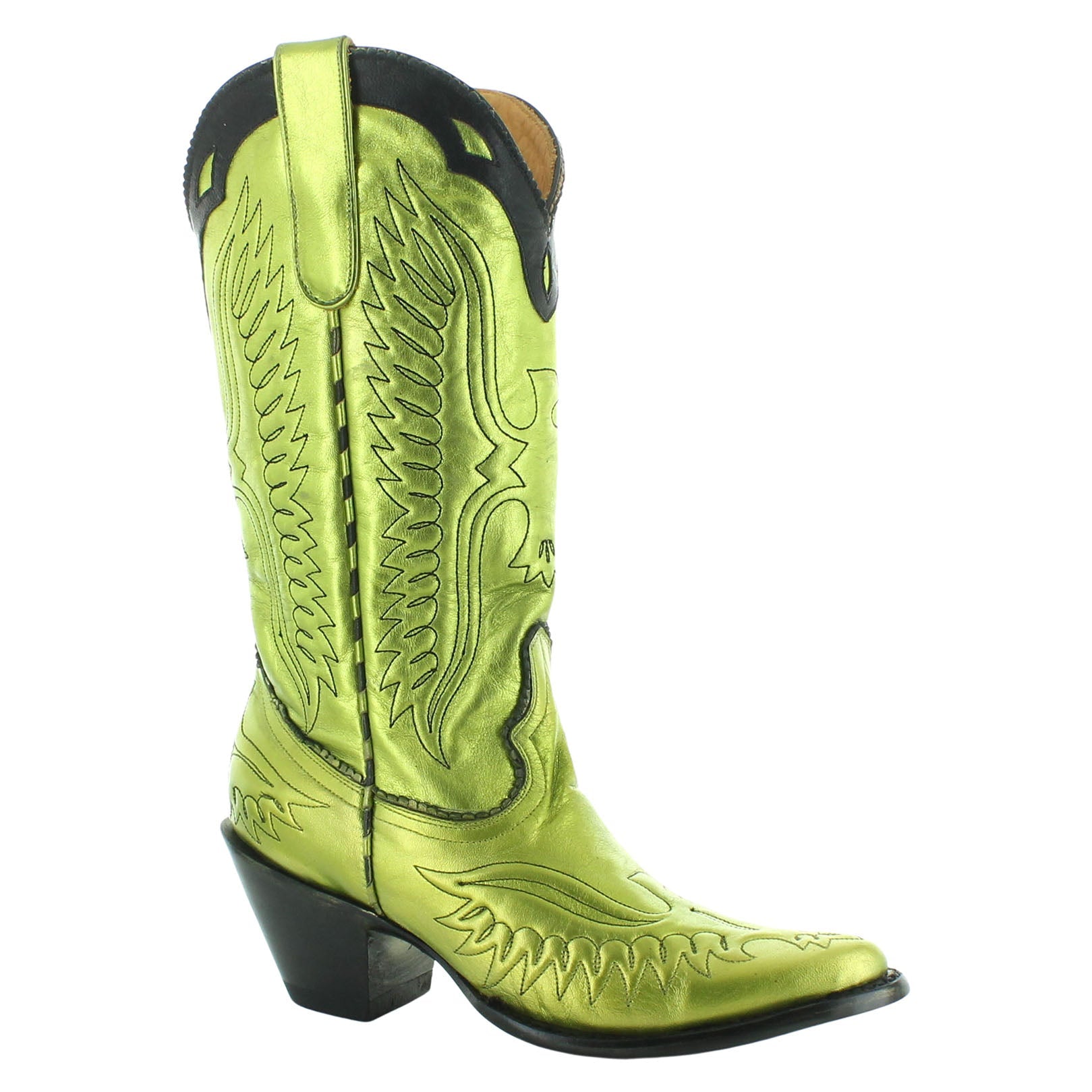 EAGLE SPONGE COLLAR - WOMEN'S