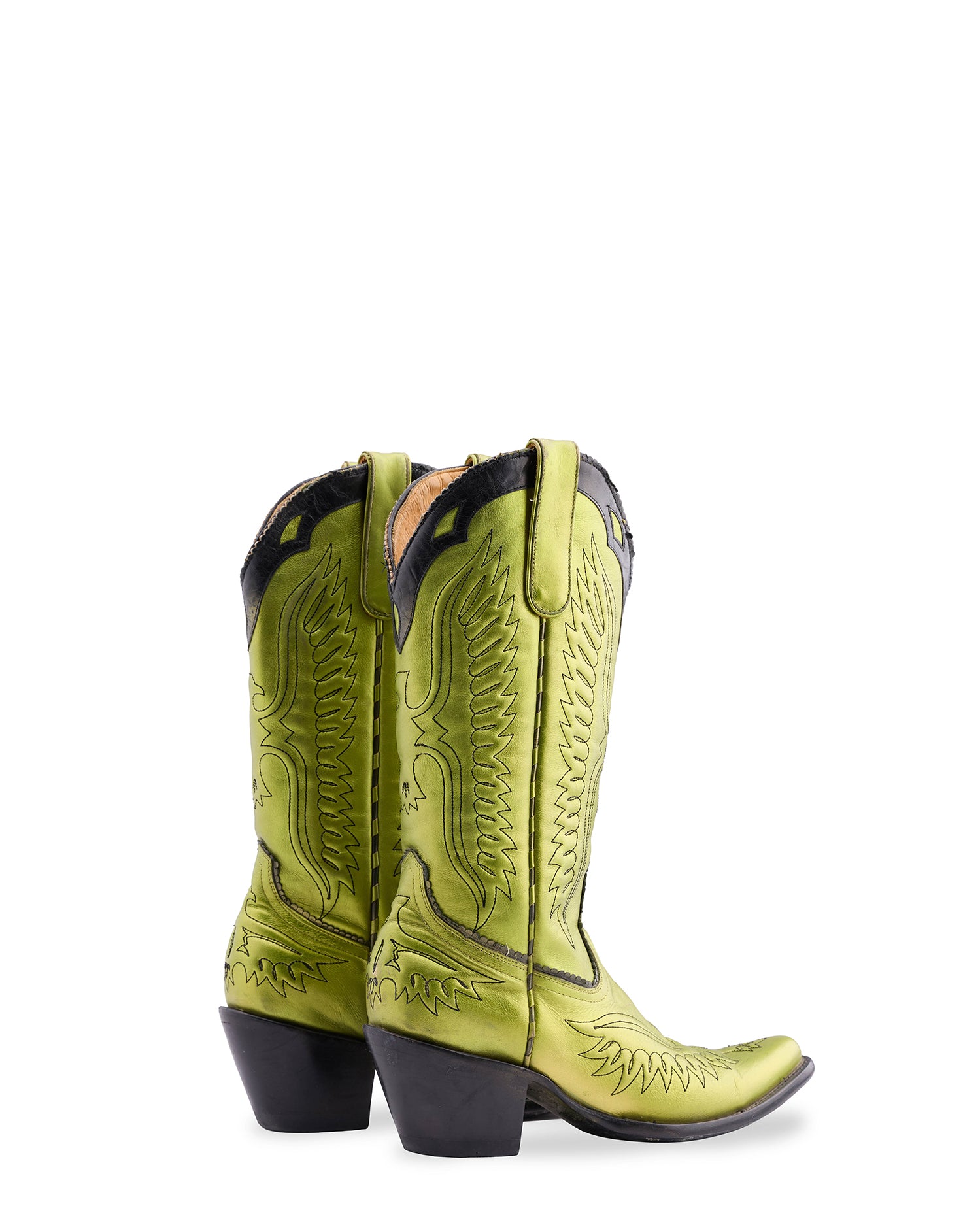 EAGLE SPONGE COLLAR - Green