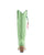 Chili Tall