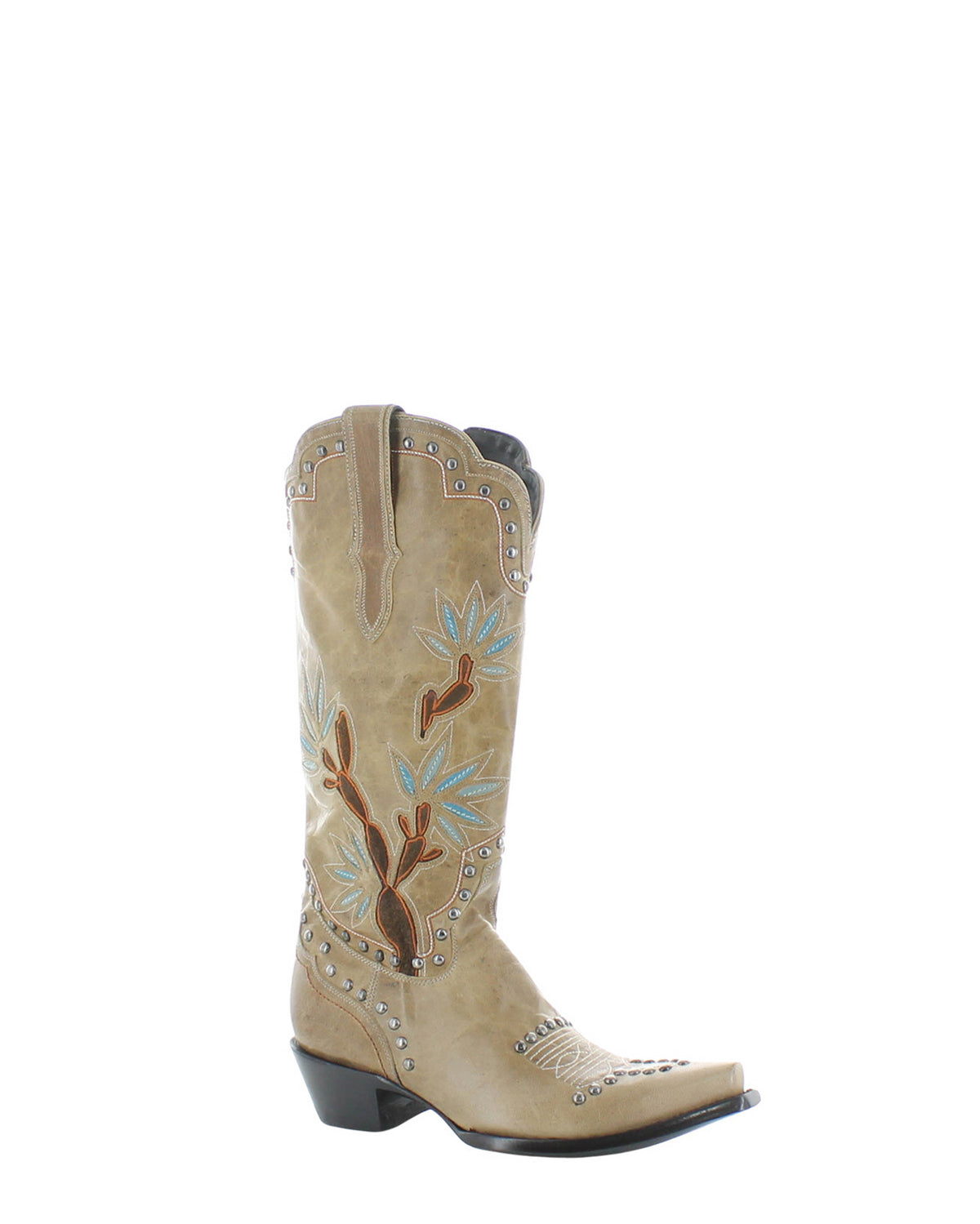 Austrocactus Boot L4076