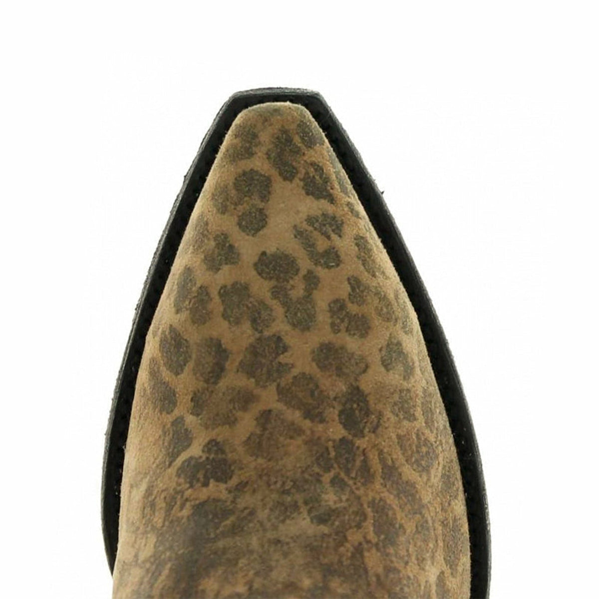 Leopardito YP