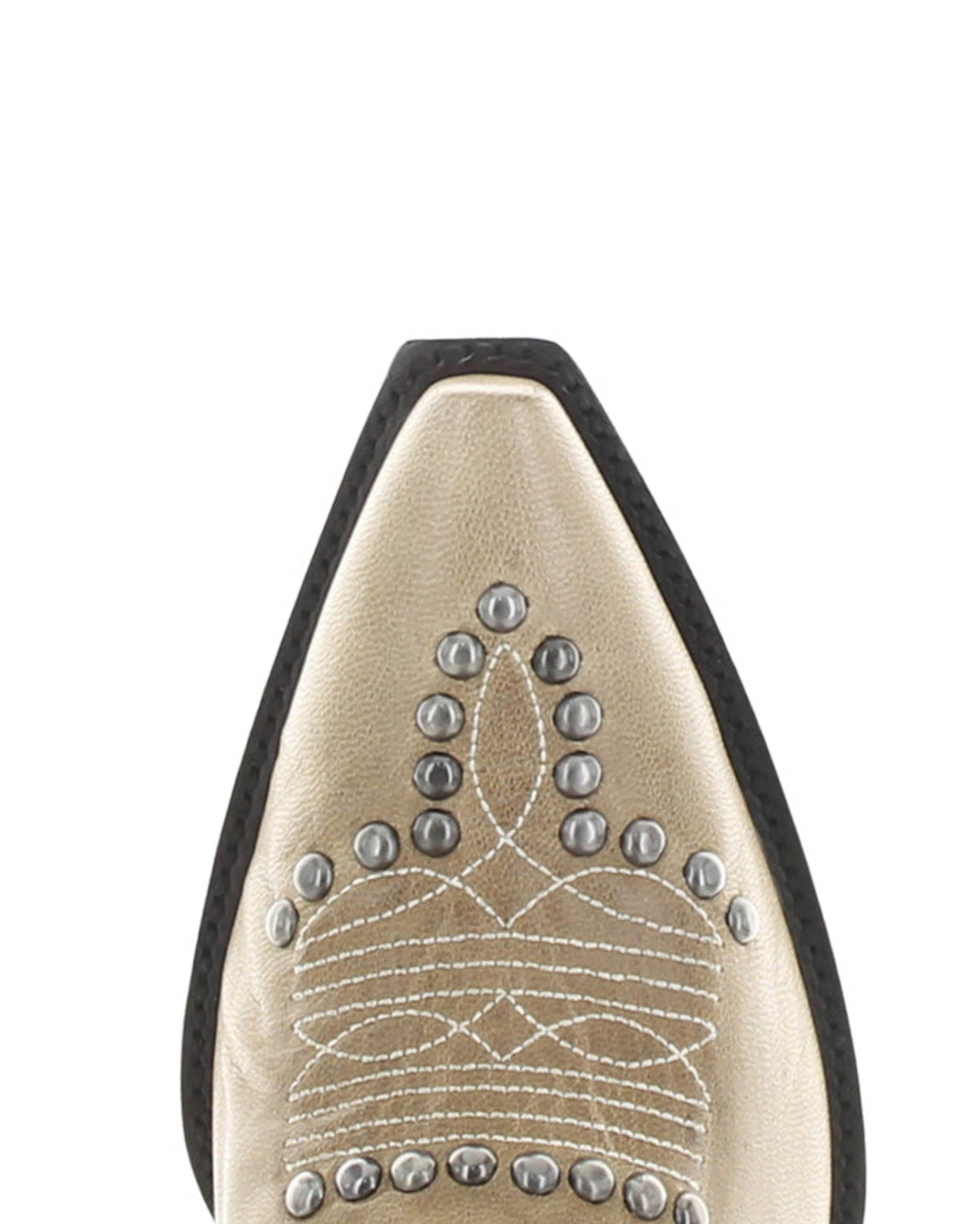 Austrocactus Boot L4076